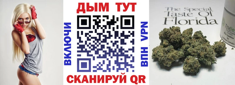 Альфа ПВП Владимир