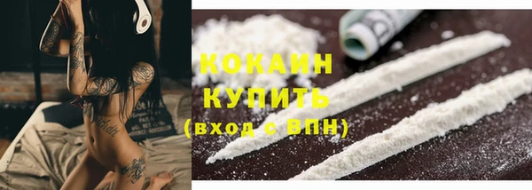 индика Майский