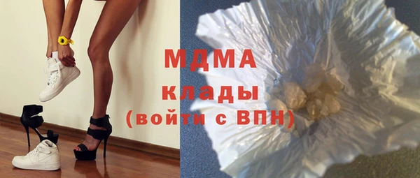 шишки Мегион