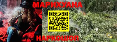 спиды Бийск