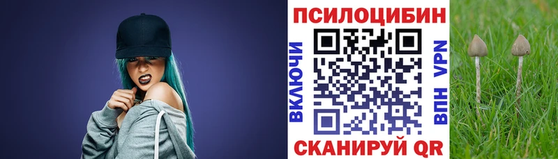 Псилоцибиновые грибы Cubensis  где можно купить наркотик  блэк спрут онион  Владимир 