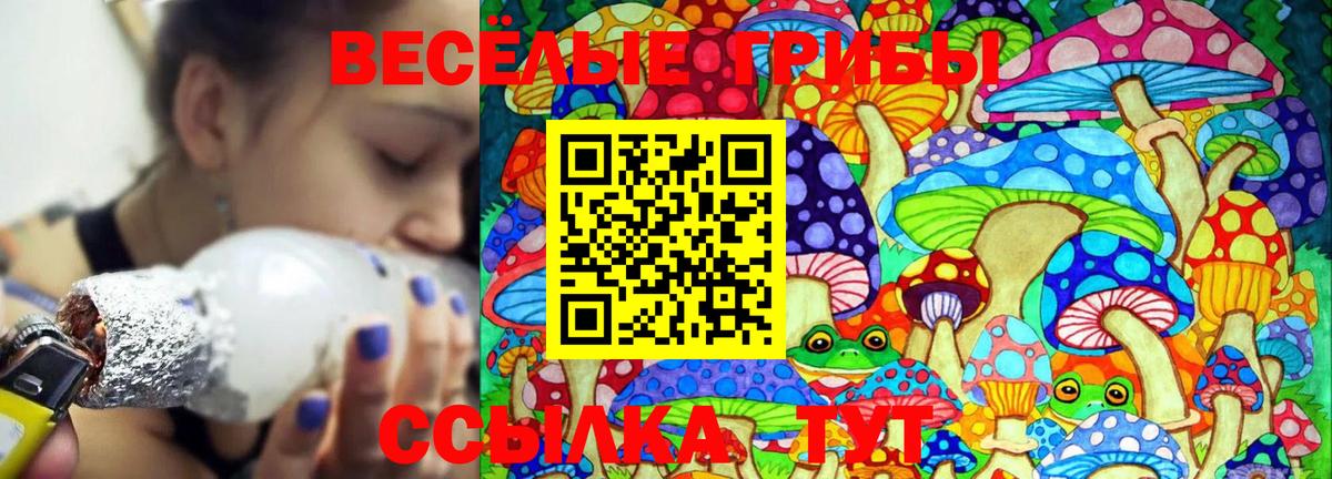 Псилоцибиновые грибы Psilocybine cubensis  Галлюциногенные грибы прущие грибы  Владимир 