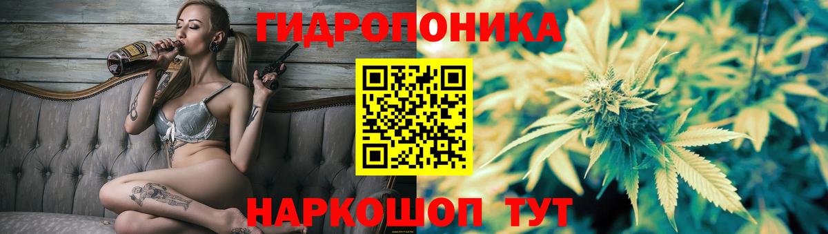 Конопля White Widow Владимир